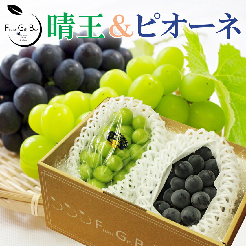 2026 ギフト岡山県産 シャインマスカット 晴王 ピオーネ 赤秀品 2房 (700g×2 600g×2) 大房大粒 贈答用 御中元 御歳暮 葡萄 ぶどう ブドウ プレゼント 御礼 御祝 果物 くだもの フルーツ 【岡山果物工房】 【10%OFFクーポン対象】