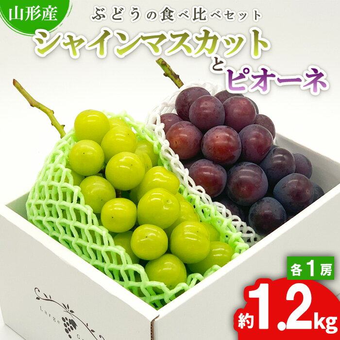 【ふるさと納税】★ぶどうの食べ比べセット★シャインマスカットとピオーネ 約1.2kg（各1房) 秀品 期間限定【令和8年産先行予約】FS24-526 山形県 山形市 お取り寄せ 2026年産 果物 フルーツ 先行予約 種なし 葡萄 ぶどう マスカット 果物 くだもの 人気 送料無料