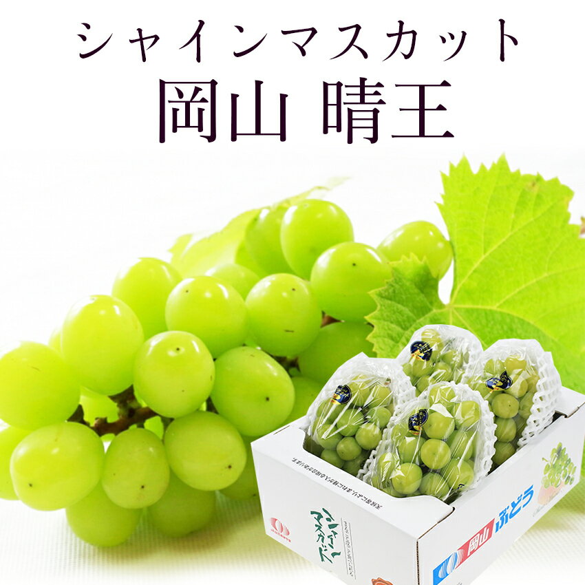 2026 岡山県産 シャインマスカット 晴王 優品 2kg(3-5房) 簡易包装 ご家庭用 ぶどう 葡萄 ブドウ フルーツ 【岡山果物工房】枝がれや粒抜け小粒など訳ありノークレーム商品となります ギフトには不向きです 【100円OFFクーポン対象】