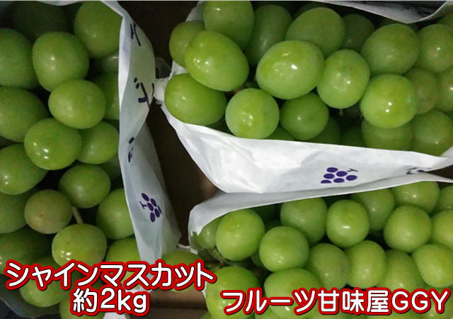 シャインマスカット　約2kg（2〜6房）　熊本産・福岡・大分産　クール便発送【送料無料】一部の地域を除く　80サイズ
