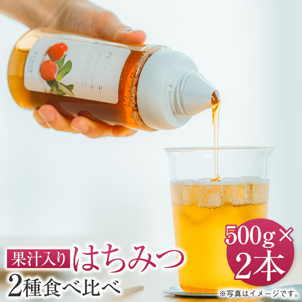 【ふるさと納税】 果汁入りはちみつ 500g 2種食べ比べ 合計1,000g 合計2本 ゆず蜜（500g×1本） 1種お選び（500g×1本） ゆず蜜 ブルーベリー 巨峰 アセロラ マンゴー レモン メープル シャインマスカット ストロベリー ハスカップ 抹茶 送料無料