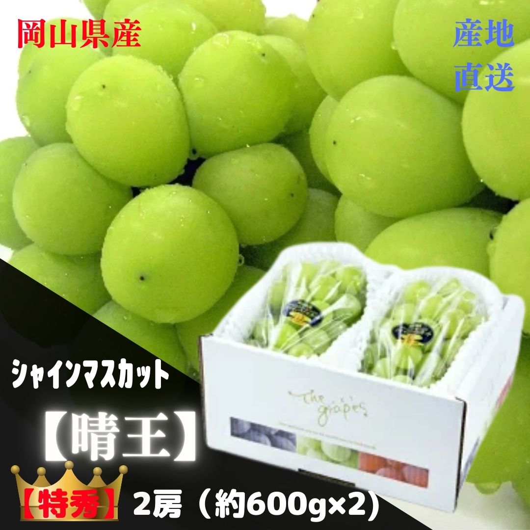 【産直品】ぶどう シャインマスカット晴王 　　　　　　　　　　　　　【特秀】 2房(約600g×2) 　　　　　　　　　　　　　　　　「 岡山県産」JA全農おかやま　　　　　　　　発送は8月上旬～（季節商品の為発送時期が5日前後する事がございます。）