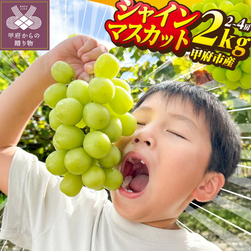 【ふるさと納税】 人気急上昇中! ★山梨県産★ 先行予約 2026年 シャイン 糖度20度前後 2房〜4房 約2.0kg シャインマスカット ぶどう 甲府市産 フルーツ 高級 完熟 産地直送 高評価 フルーツ王国山梨 贈答 ギフト 2026年8月中旬～10月上旬にかけて順次配送 k213-007