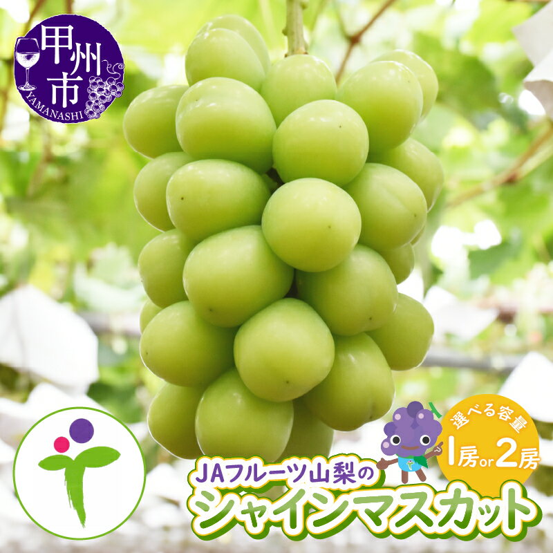 【ふるさと納税】 シャインマスカット 2026年発送 選べる 容量 約600g 約1.2kg 1房 2房 8月 9月 発送 果物 期間限定 数量限定 甲州市産 ぶどう 白ブドウ 葡萄 種なし 大粒 化粧箱入り 人気 果物 フルーツ JAフルーツ山梨 農協 山梨県 甲州市 社員マスカット