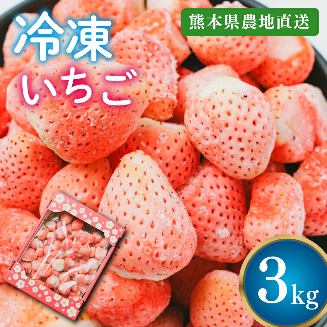 【熊本県産】淡雪 冷凍イチゴ 3kg 国産 ブランドイチゴ いちごジャム/いちごミルク/シャーベット/スムージー/かき氷/いちごソース/ブランドいちご/調理/料理/フルーツ/おやつ/ケーキ/家庭用/完熟/アイス/冷凍フルーツ/お中元/化粧箱/業務用/訳あり