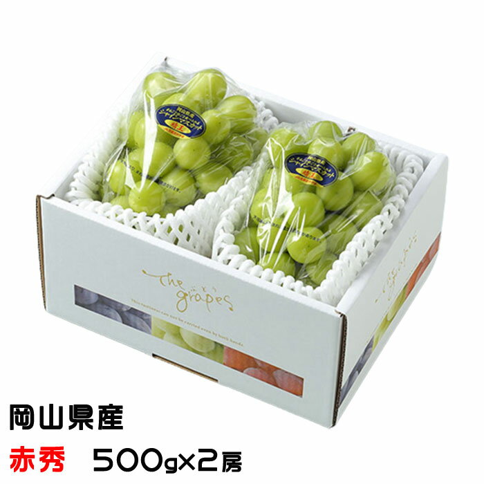 お中元 ぶどう シャインマスカット晴王 赤秀 500g×2房 岡山県産 葡萄 ブドウ ギフト お取り寄せ