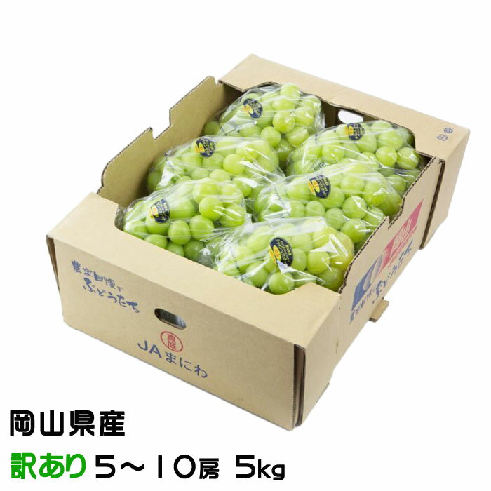 お中元 ぶどう シャインマスカット晴王 風のいたずら ちょっと訳あり 5〜10房 5kg 岡山県産 葡萄 ブドウ ギフト お取り寄せ