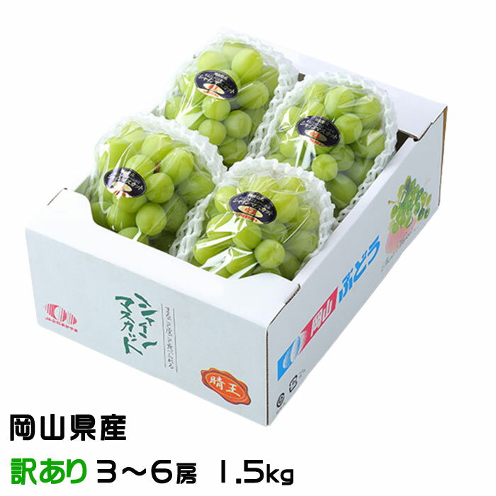 お中元 ぶどう シャインマスカット晴王 風のいたずら ちょっと訳あり 3〜6房 1.5kg 岡山県産 葡萄 ブドウ ギフト お取り寄せ