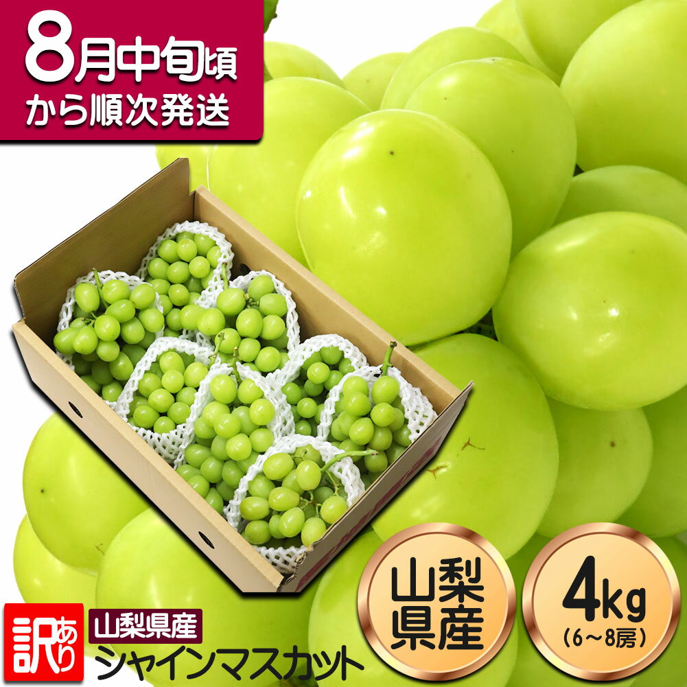 シャインマスカット 訳あり 4kg 山梨県産 粒不揃い 路地栽培 マスカット ブドウ 葡萄 ぶどう 6房〜8房 敬老の日 家庭用 プレゼント ギフト