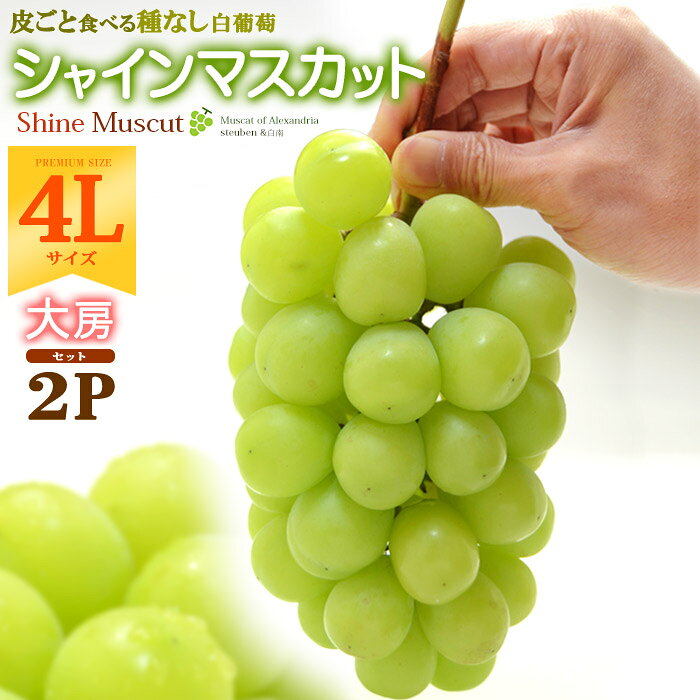 晴王 シャインマスカット 4L×2房 (約1.2kg) 岡山産 秀品 しゃいんますかっと ぶどう 葡萄 皮ごと 種無し 岡山 はれおう shine muscat 食品 フルーツ 果物 ブドウ ギフト 贈答 進物 お供え 御供え 甘い 人気 男性 女性 喜ばれる 2026 送料無料