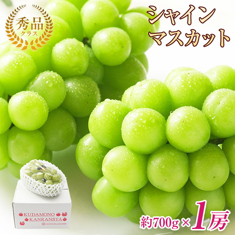 【8月下旬より順次ご発送 】【 シャインマスカット 秀品 1房あたり 約700g 1房 】 秀品 1房 約 700g 送料無料 シャインマスカット シャイン 晴王 地域厳選 岡山 山梨 長野 福岡 ご家庭用 マスカット ぶどう ギフト お中元 暑中見舞い 訳あり 敬老の日 ギフト プレゼント