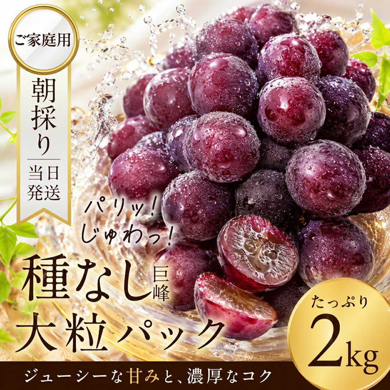 【ふるさと納税】《先行予約》 朝採り 当日発送 種なし 巨峰 粒 450g ~ 1.3kg ぶどう 大粒 訳あり 不揃い 果物 フルーツ ブランド 産地直送 生産者直送 農家直送 シャインマスカット 葡萄 8月 9月 愛知県 豊橋市 送料無料 5000円