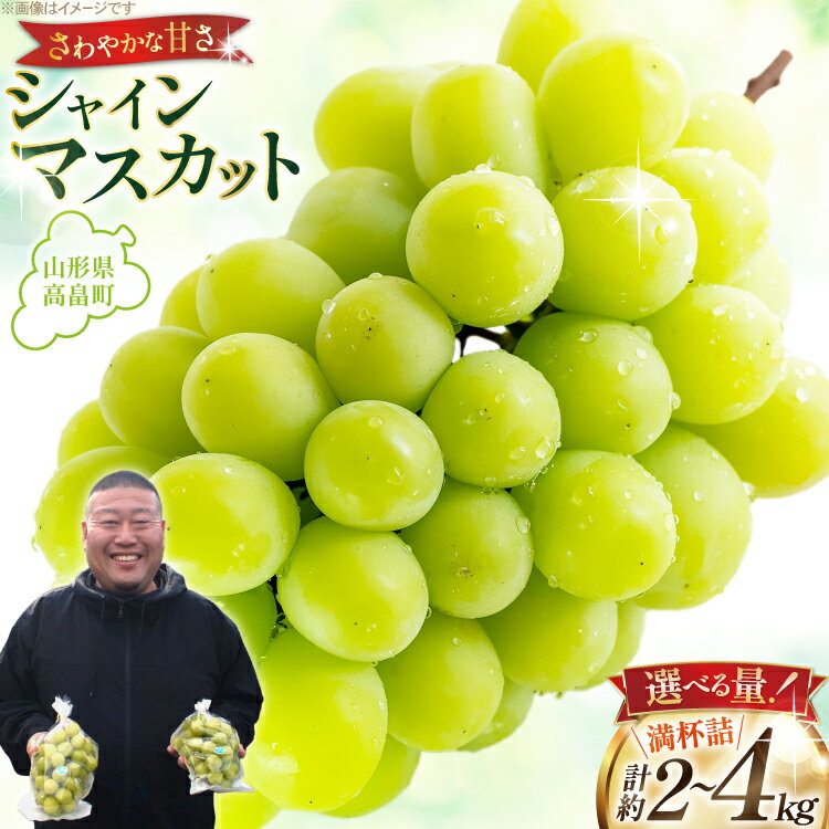 【ふるさと納税】 【期間限定発送】 シャインマスカット 【選べる内容量】 3〜5房 満杯詰め 約 2kg / 6〜10房 満杯詰め 約 4kg [本田農園 山形県 高畠町 tk06ays820006] ぶどう ブドウ 葡萄 マスカット 大粒 粒 つぶ ツブ 種なし 果物 くだもの フルーツ 2キロ 4キロ 箱入り