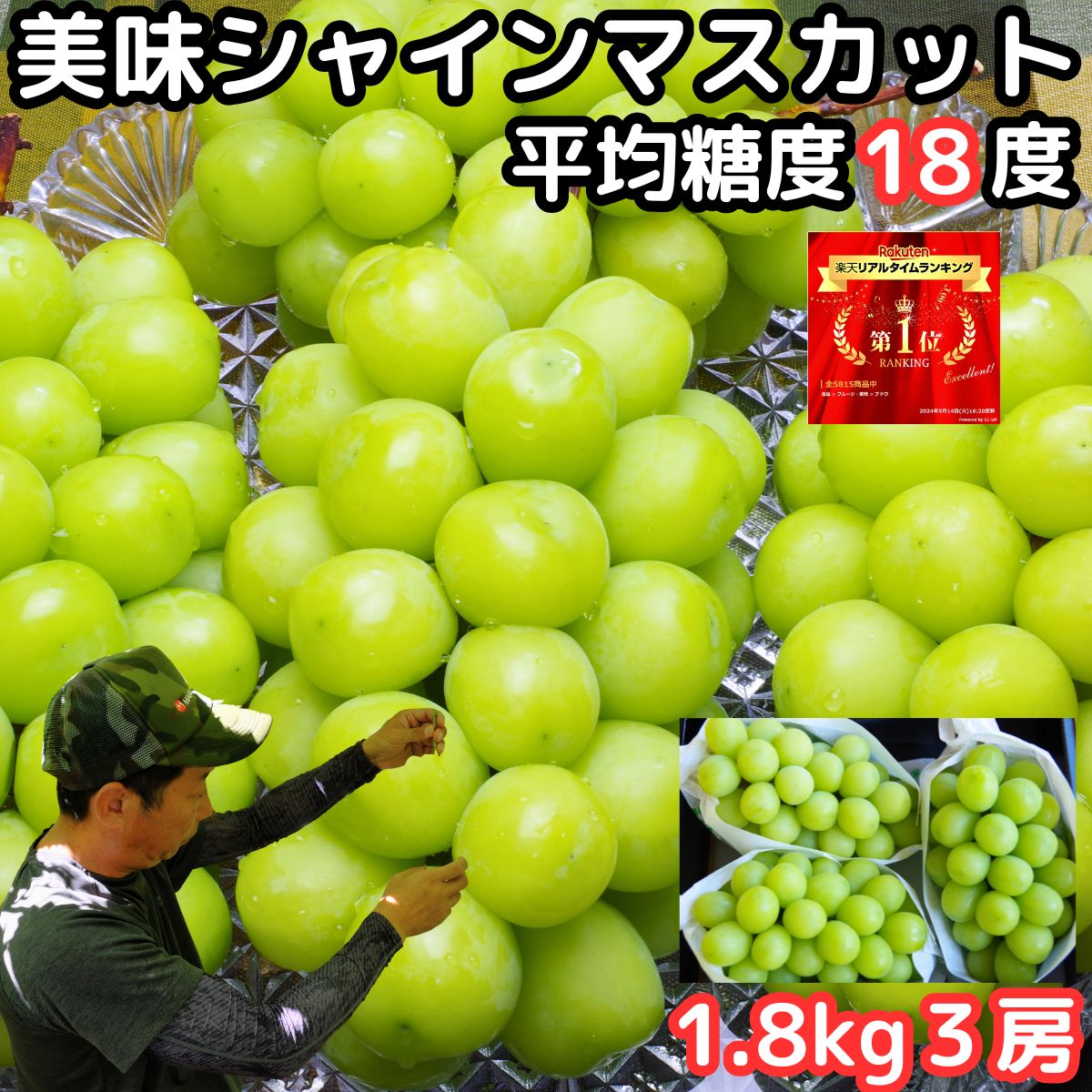 シャインマスカット ギフト 高級 ぶどう 山梨 笛吹市 八代 2房 1〜1.2kg 高糖度 大粒 産地直送 化粧箱入 贈答用 種なし 皮ごと 甘い ブドウ 旬 たねなし フルーツ 葡萄 敬老の日 糖度 送料無料 プレゼント 8月 9月 出産 内祝 山梨県