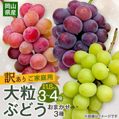 【ふるさと納税】【2026年9月下旬発送】訳あり大粒ぶどう3種セット(シャインマスカット・ピオーネ等3種おまかせ)_ ふるさと納税 ぶどう 葡萄 ブドウ 果物 フルーツ くだもの デザート おやつ 訳あり 家庭用 大粒 【配送不可地域：離島・北海道・沖縄県】【1244678】