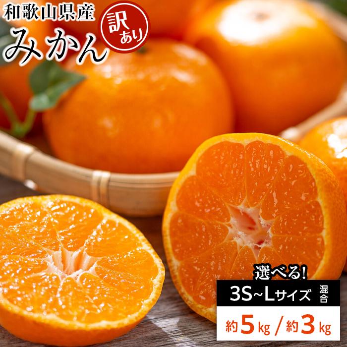【ふるさと納税】和歌山県産 糖度 12.5度以上 訳あり みかん 3kg または 5kg 3S ～ Lサイズ混合 | 和歌山市 高糖度 柑橘 訳あり フルーツ 甘み濃厚 旬の味 人気 おすすめ みかん 柑橘 果物 甘い さっぱり お取り寄せ 送料無料 ふるさと納税