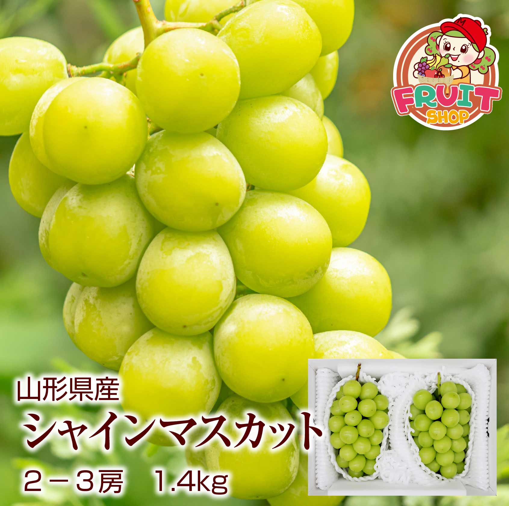 当店マラソン期間中エントリーで全商品ポイント7倍！！【予約】 送料無料　ギフト　山形県産大粒ぶどう「シャインマスカット」約1.4kg(2-3房入り) 種無し ブドウ 山形 葡萄 ぶどう 産直 ご贈答 budo 楽ギフ_のし 楽ギフ_のし宛書 楽ギフ_メッセ入力