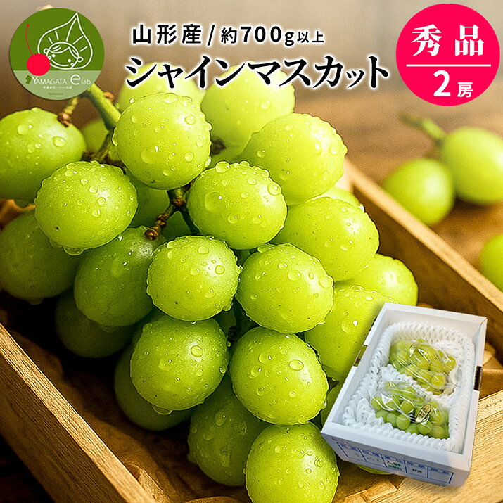 シャインマスカット 秀品 2房 1房あたり約700g以上 ぶどう 山形県産 大房 大粒 ギフト 果物 化粧箱入 産地直送 御歳暮 ギフト用 贈り物 プレゼント 年末 手土産 おすすめ 人気 予算 食品 送料無料 蒲萄 くだもの フルーツ【2026年9月下旬〜発送 先行予約】