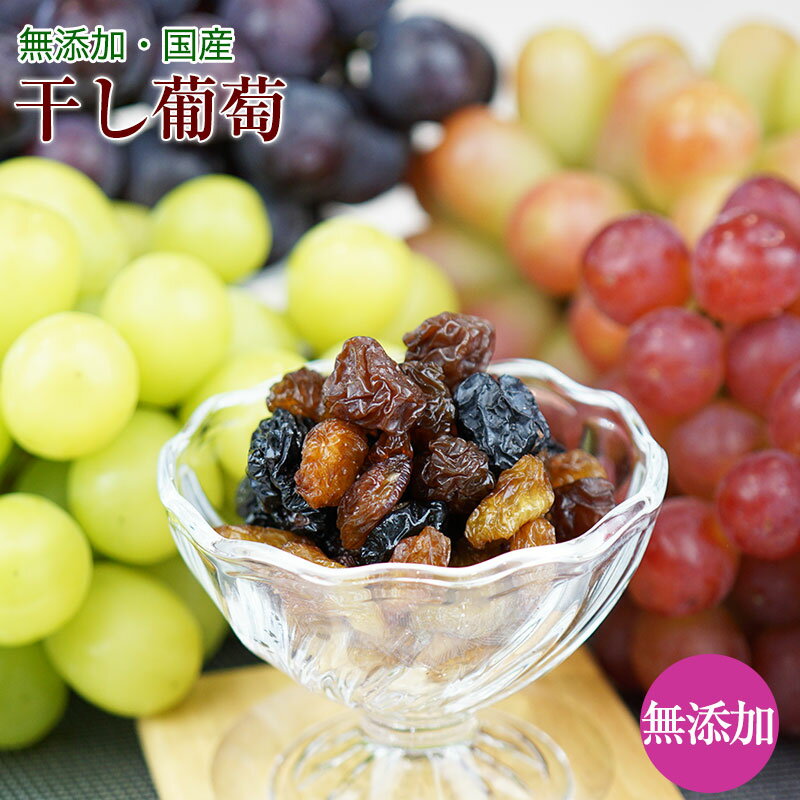 無添加 国産干しブドウ(干し蒲萄)50g シャインマスカット等種なし、皮ごとぶどうのみ。干しぶどう ドライフルーツ 砂糖不使用 贅沢なレーズン ワインのおつまみにも！
