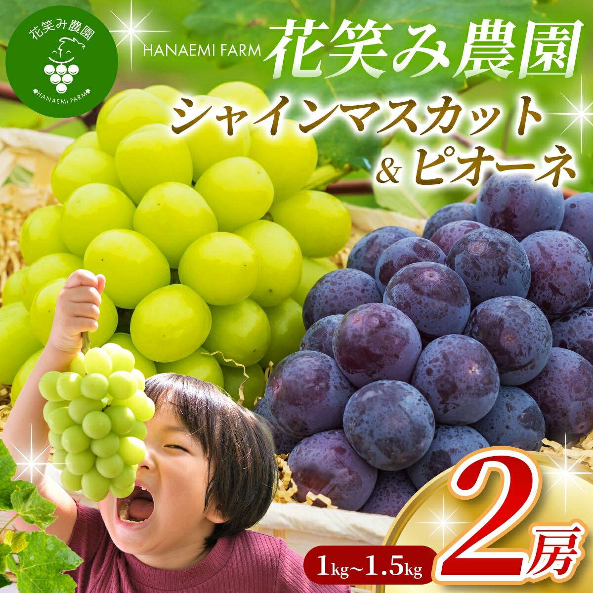 【ふるさと納税】 シャインマスカット ニューピオーネ 食べ比べセット 計1kg～1.5kg（2房） 【2026年発送 先行予約 9月中旬から順次発送】 葡萄 ぶどう くだもの 種なし ピオーネ 詰め合わせ ブドウ フルーツ 果物 ギフト 数量限定 岡山県 期間限定 送料無料 産地直送 人気