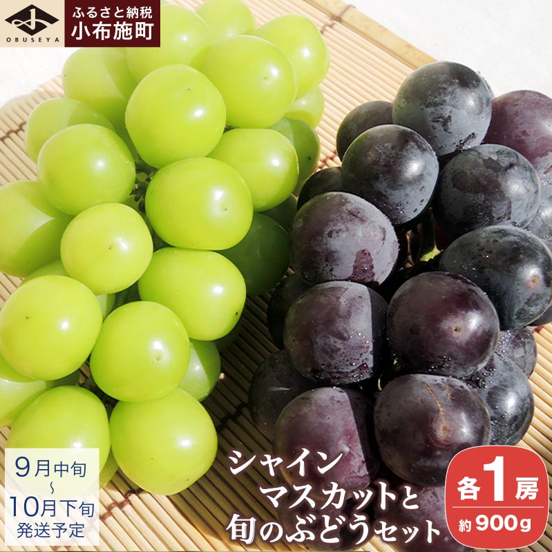 【ふるさと納税】 シャインマスカットと旬のぶどう 詰め合わせ 各1房 約900g［小布施屋］ 食べ比べ 果物 詰合せ セット フルーツ ぶどう 詰合せ 数量限定 先行予約 長野県産 信州産 2種 くだもの フルーツセット おまかせ ブドウ 令和8年産 【2026年9月中旬～10月下旬発送】