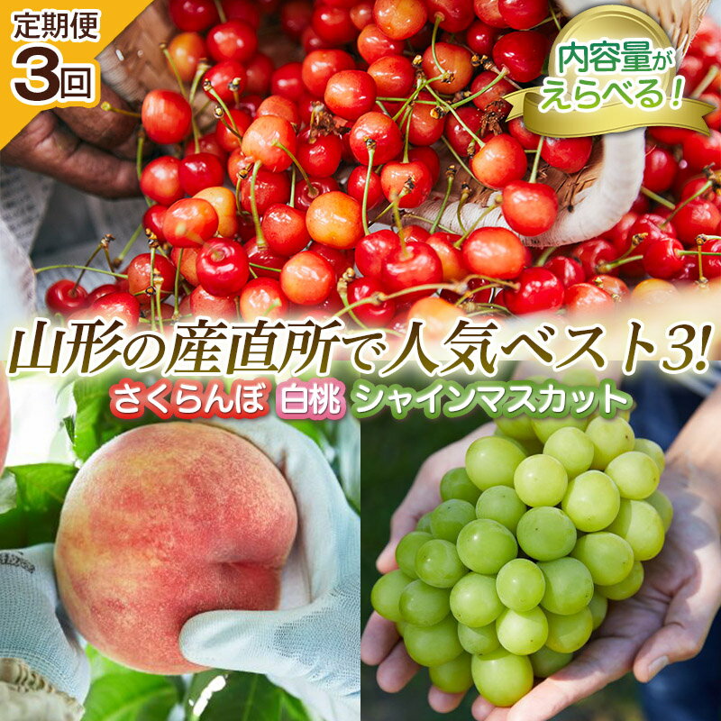 【ふるさと納税】【定期便3回】選べる 内容量 山形の産直所で人気ベスト3の定期便 FZ25-848 くだもの 果物 フルーツ 山形 山形県 山形市 お取り寄せ