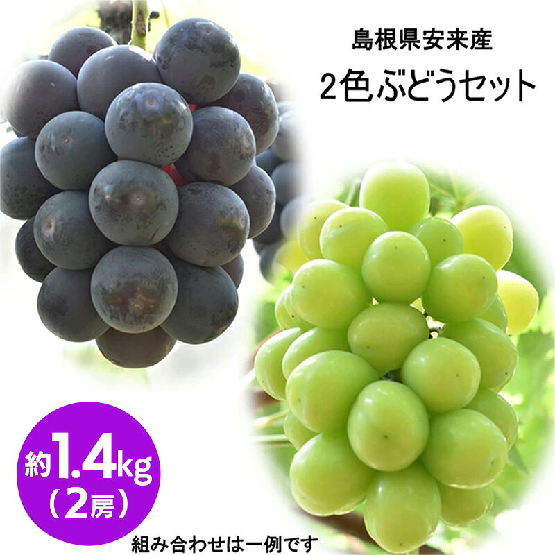 【ふるさと納税】2色詰め安来ぶどう詰合せ 約1.4kg ／ 8月中旬～9月下旬発送 ／ 2房 シャインマスカット ピオーネ クイーンニーナ 2種 おまかせ 旬 ランダム 詰め合わせ 冷蔵配送 フルーツ 島根県 安来市【19-JY-11】