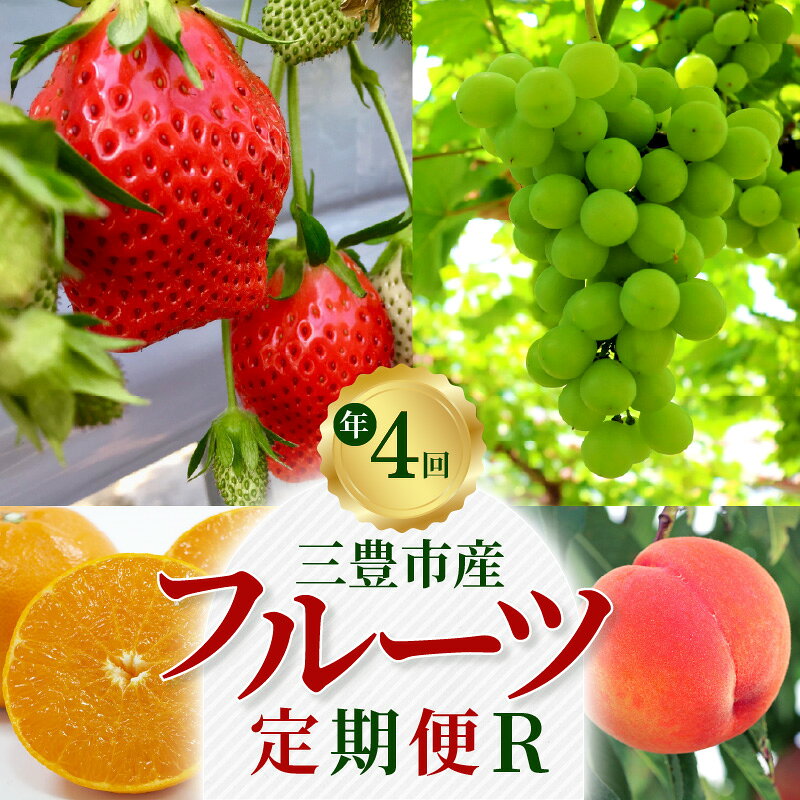 【ふるさと納税】 フルーツ定期便 「 三豊市産 人気の厳選フルーツ 年4回定期便 さぬきひめ 桃 シャインマスカット 石地みかん 」 [ いちご 苺 もも ぶどう 果物 食べ比べ 旬 お取り寄せ 送料無料 香川県 三豊市 50,000円 台 返礼品 五色青果 ]