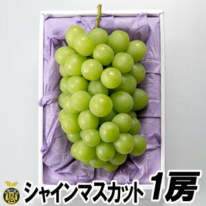 【7月下旬頃発送開始】シャインマスカット　1房【送料無料】贈答品　ギフト　高級ぶどう　種なし