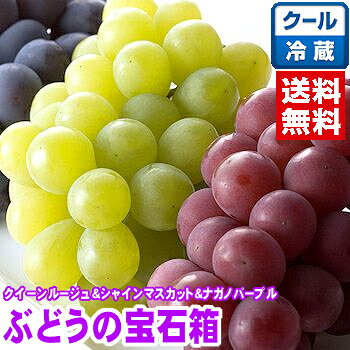 山梨県・長野県産ぶどうの宝石箱（3品種）クイーンルージュ＆シャインマスカット＆ナガノパープル 秀品　皮ごと食べれる3品種が夢の競演！北海道、沖縄は別途1,000円
