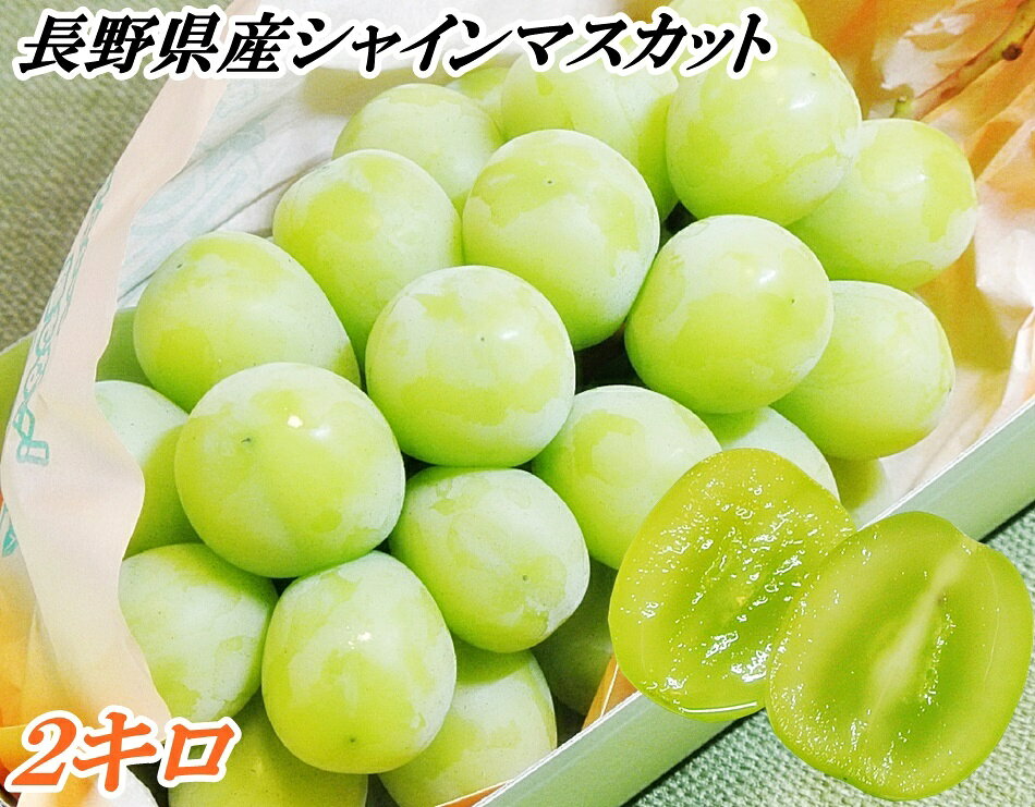 2キロ シャインマスカット 信州産のぶどう 2kg 秀品3〜5房【創業11年目利きの品】ぶどう ブドウ 葡萄 マスカット お取り寄せ フルーツ 果物 ギフト 贈答 プレゼント 内祝い 出産祝い 産地直送 大人気ブドウ シャイン 贈り物