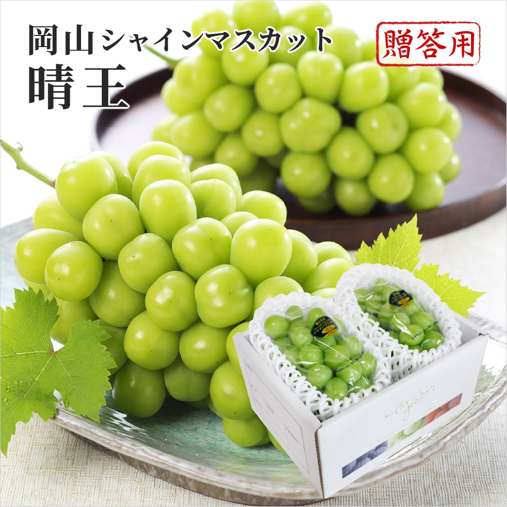 2026 お中元 岡山県特産 シャインマスカット 晴王 青秀品 約500g×2房 化粧箱入り ぶどう ブドウ 葡萄 フルーツ ギフト プレゼント 7月上旬頃より発送
