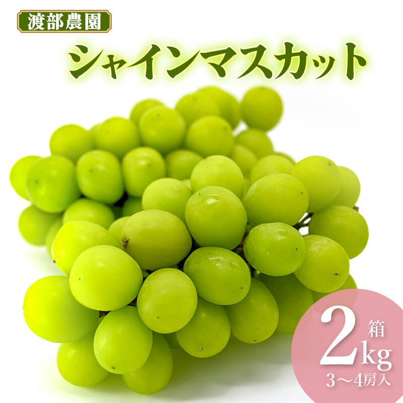 【ふるさと納税】【令和8年産先行予約】 シャインマスカット 約2kg(3〜4房)　白品種ぶどう