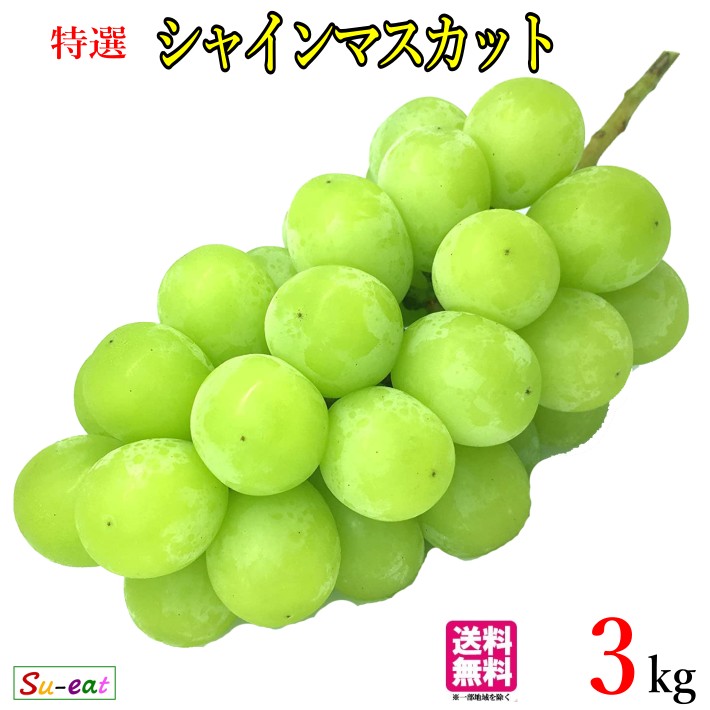 9月中旬〜下旬　特選 シャインマスカット　ぶどう 長野県産 3キロ