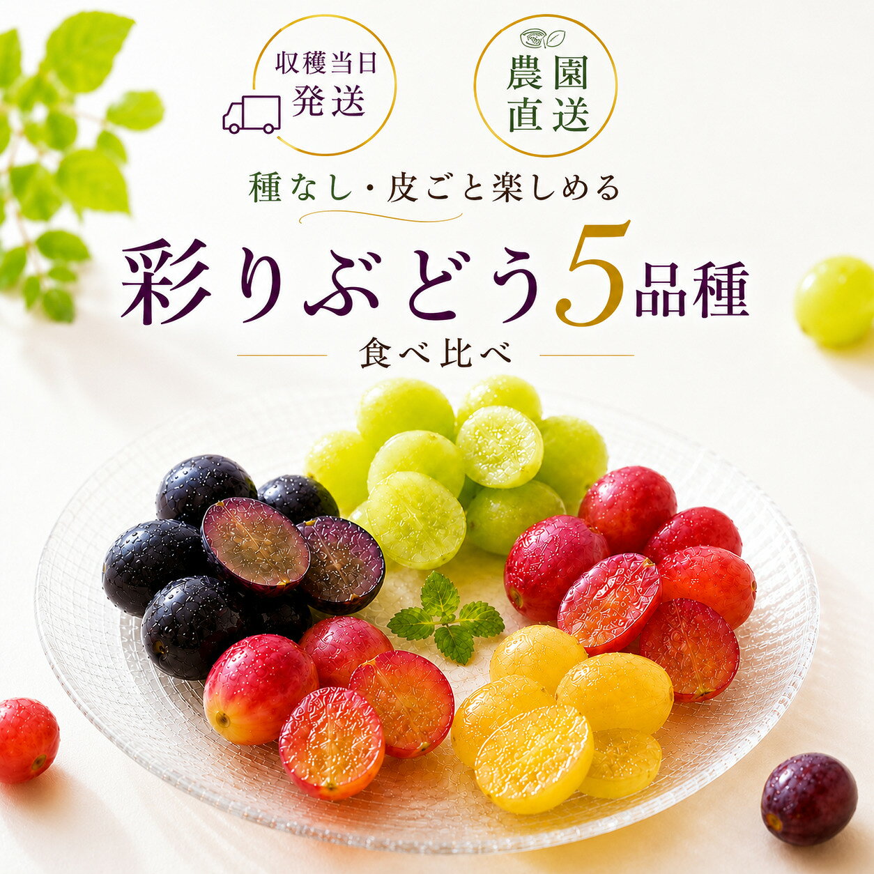 【スタートダッシュ10/4 10%クーポン】ぶどう 5品種 食べ比べ シャインマスカット クイーンルージュ ナガノパープルなど 粒 ギフト【2026年9月上・中旬～10月下旬順次発送】長野 須坂市 希少品種 種なし 皮ごと 贈答用 内祝い プレゼント 産地直送 佐藤果樹園