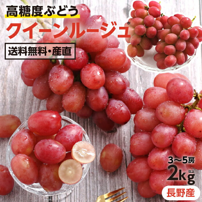 【送料無料】ぶどう クイーンルージュ 秀品 3〜5房 約2kg 長野産 シャインマスカットを親に持つ高糖度ぶどう！ 産地直送 皮ごと食べられる 大人気ブドウ 種なし | 赤ぶどう ルージュ 希少 ブドウ 葡萄 甘い ギフト プレゼント 贈答 新品種 フルーツ 信州 予約 2026