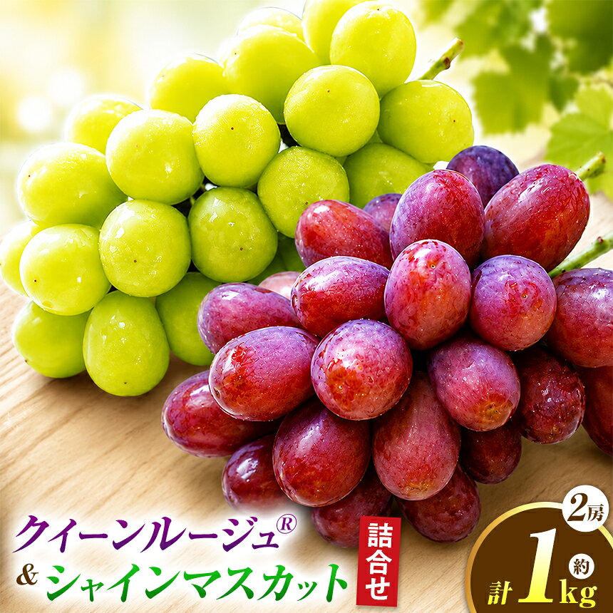 【ふるさと納税】クイーンルージュ® &amp; シャインマスカット 詰合せ 約1kg 各1房 【2026年9月上旬～11月上旬発送】［新規就農者応援コース 幸作会］｜フルーツ ブドウ 果物 ぶどう 長野 信州 クール便 冷蔵便 詰め合わせ セット 食べ比べ 詰め合わせ 小布施町