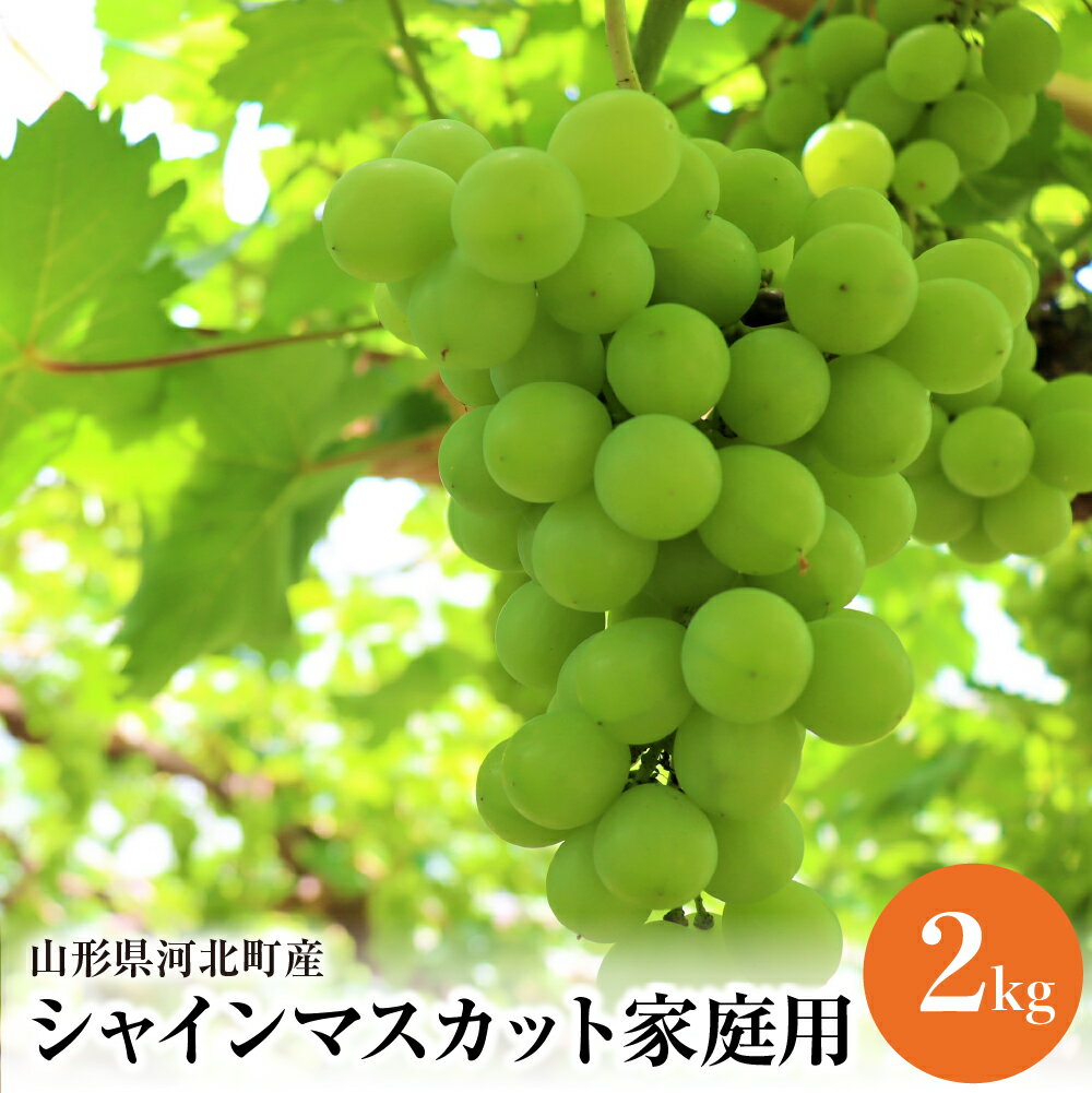 【ふるさと納税】【令和8年産】ご家庭用 シャインマスカット 2kg 国産 マスカット 緑 ぶどう ブドウ 葡萄 常温便 フルーツ 果物 果肉 青果 お取り寄せ 東北 山形県 河北町 【JAさがえ西村山】