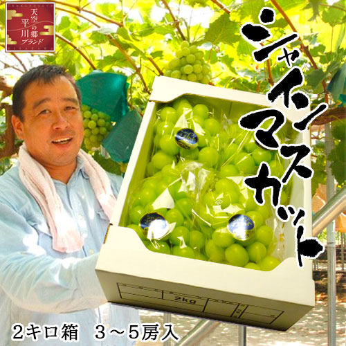 物部農園 シャインマスカット 2キロ箱　3〜5房入 岡山県産 ブドウ 天空の郷平川 生産者直送 早期ご予約受付中 数量限定品 減農薬 高糖度 高級 贈り物 プレゼント 誕生日 御礼 御見舞 ギフト 差し入れ 収穫発送10月中旬 クール便発送 送料無料
