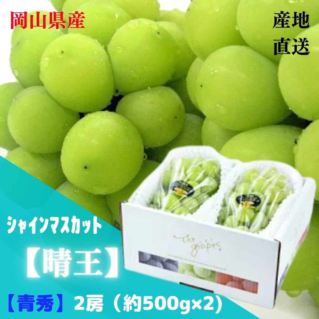 【産直品】ぶどう シャインマスカット晴王 【青秀】 2房(約500g×2) 「 岡山県産」JA全農おかやま　　　　発送は8月上旬～（季節商品の為発送時期が5日前後する事がございます。）