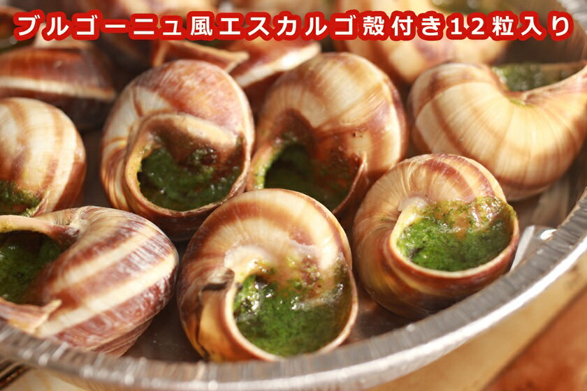 【フランス産 ブルゴーニュ風 エスカルゴ 殻付き12粒】（冷凍）　クリスマス　パーティー　ディナーに escargot French　パーティー　ディナー　お祝い　ギフト　BBQ　バーベキューなどにも 温めるだけ　エスカルゴ　ガーリックバター