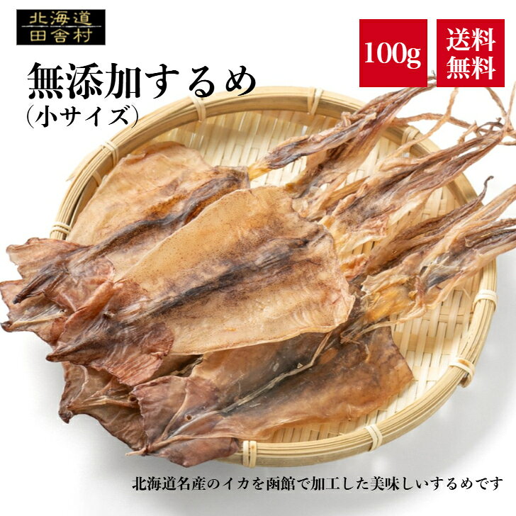 するめ 100g 【送料無料】 小サイズ スルメ 真いか スルメイカ おつまみ 珍味 あたりめ 不二屋 するめいか 烏賊 イカ 不二屋
