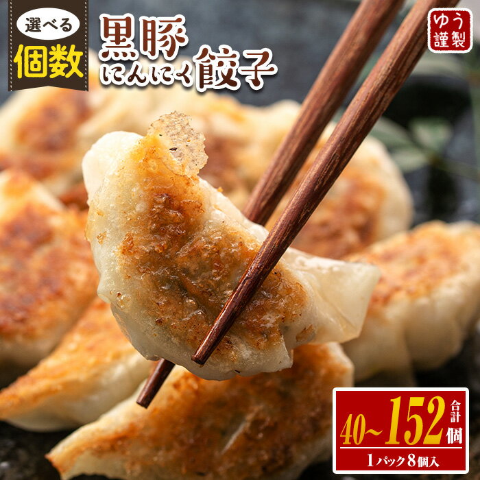 【ふるさと納税】〈個数を選べる！〉黒豚にんにく餃子(1パック8個入り・計40個 or 80個 or 152個) 特製餃子のタレ付き！鹿児島 生餃子 ギョウザ 黒豚 冷凍食品 おかず おつまみ 惣菜 小分け 簡単調理【工房ゆう】