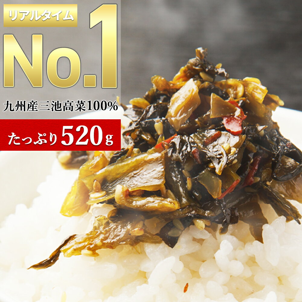 5種から選べる！ 辛子高菜 260g×2袋 からし高菜 高菜 高菜漬け たかな メール便 送料無料 国産 九州産 三池高菜 保存料 着色料 不使用 ご飯のお供 酒の肴 漬物 高菜漬 九州 おつまみ グルメ