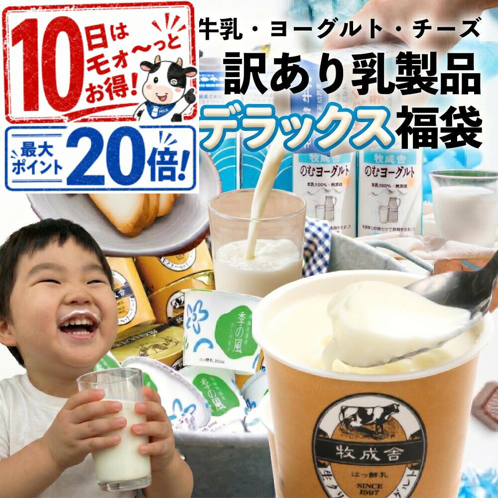 マラソンP10倍！乳製品デラックス袋 もったいない 訳アリ ご褒美 福袋 食品 2026 在庫処分 スイーツ おつまみ お取り寄せ 牛乳 ヨーグルト 食品ロス 詰め合わせ チーズ 牧成舎 プレゼント 父の日 ギフト DEAL お中元 中元 御中元