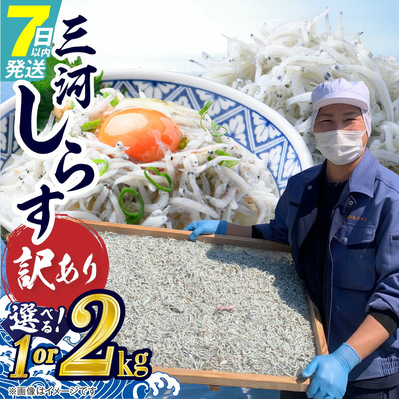 【ふるさと納税】訳あり しらす干し 1kg 2kg 選べる容量 三河しらす 国産 新鮮 しらす 釜茹で 塩分控えめ まろやか うま味濃縮 やみつき ごはんのお供 おつまみ しらす丼 パスタ サラダ 魚 海産物 冷凍 お取り寄せ グルメ 食品 愛知県 碧南市 送料無料