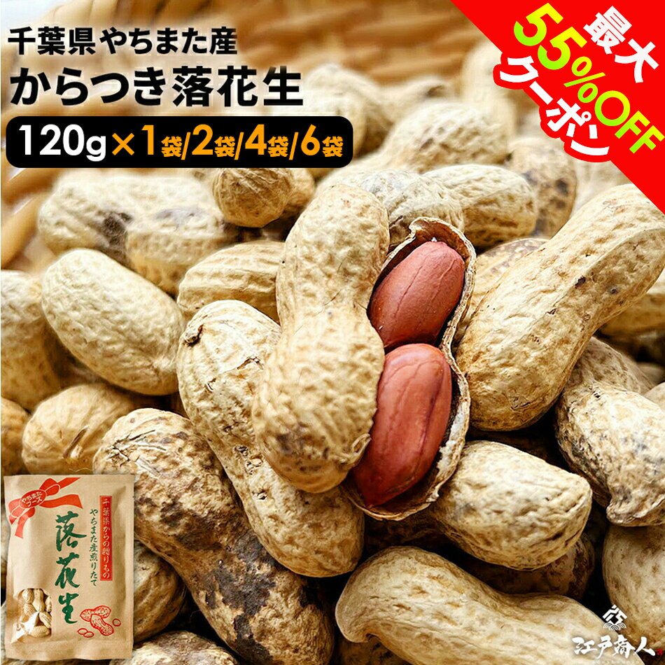 【クーポン利用で2,542円〜→1,271円〜】令和7年新豆 千葉県八街産 中手豊 からつき落花生 120g 高級クラフト袋入り ピーナッツ ナッツ お取り寄せ おつまみ お持たせ プレゼント 送料無料 ランキング1位 酒のつまみ 非常食 保存食 ギフト 手土産 土産 夏ギフト お中元 帰省