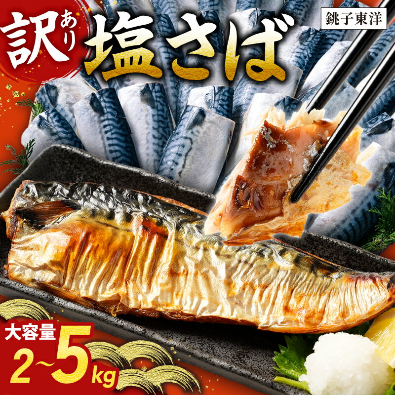 【ふるさと納税】 訳あり 塩サバ フィーレ 【選べる内容量】約 2kg 約 3kg 約 3.5kg 約 5kg 鯖 さば 塩鯖 フィレ 切り身 切身 大容量 たっぷり 人気 規格外 贈答 ギフト お取り寄せ グルメ 惣菜 魚 海鮮 魚貝 魚介 冷凍 冷凍食品 ふるさと納税鯖 千葉県 銚子市 銚子東洋