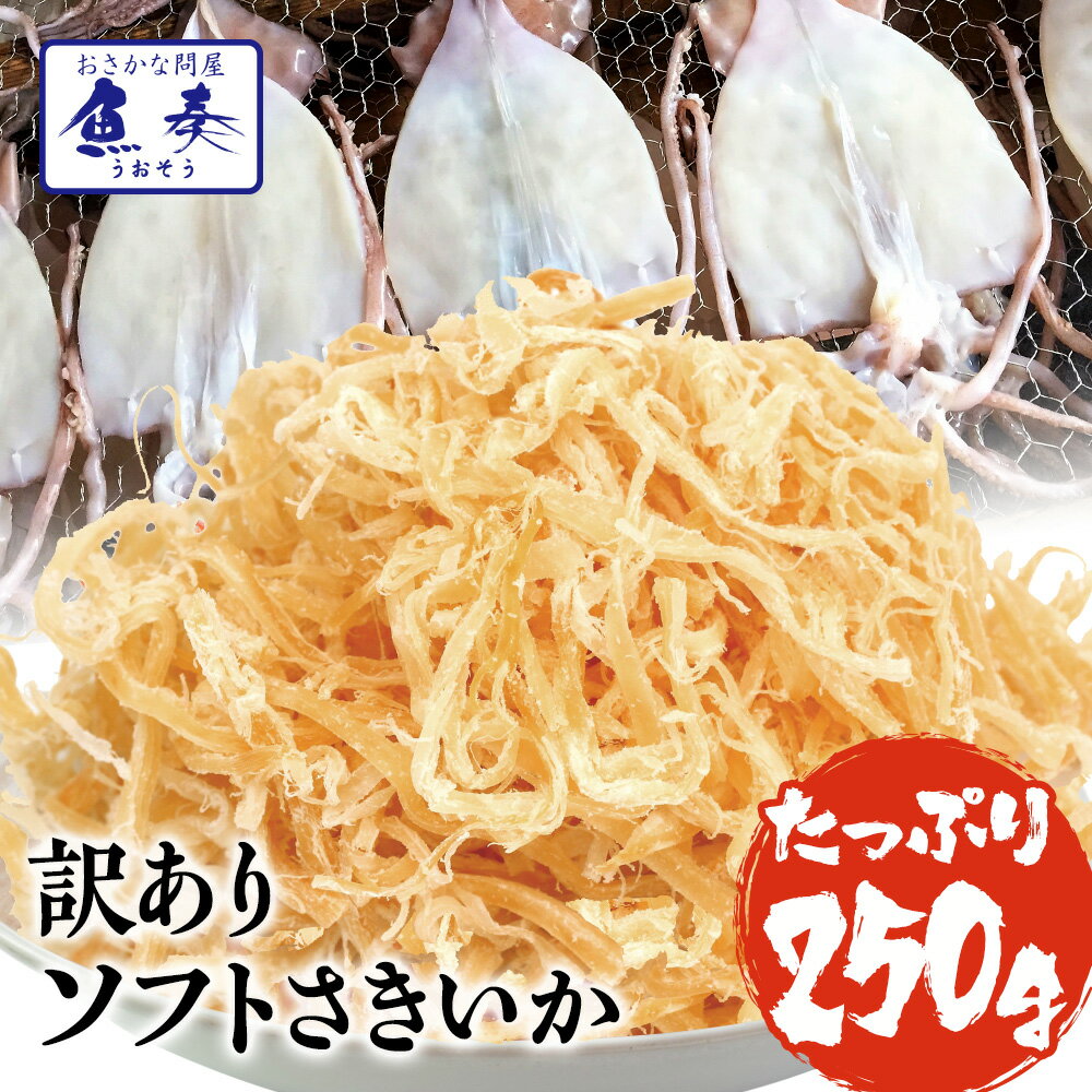 ソフトさきいか さきいか 珍味 250g 送料無料 訳あり おつまみ 酒の肴 セット 送料無料 ポイント消化 メール便 ギフト 2026