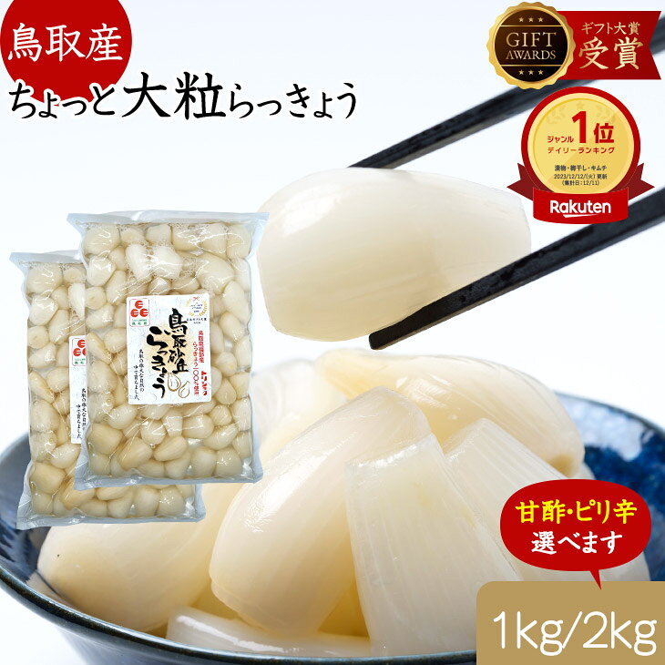 らっきょう 鳥取産 日本ギフト大賞受賞 らっきょう 国産 ちょっと大粒 不揃い 1kg(500gx2袋) 選べる 甘酢 &amp; ピリ辛 らっきょう漬け Mサイズが多め らっきょ 惣菜 らっきょう漬 お漬物 おつまみ らっきょう酢 ハイボール ワインに合う